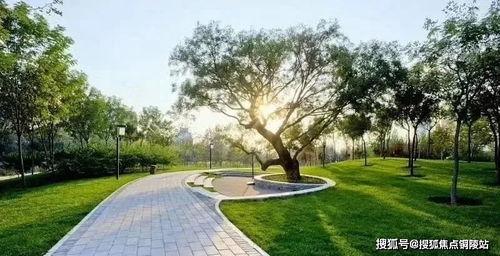 成都公园舆论爆料案例最新,一场网络热议背后的真相与反思 第2张 成都公园舆论爆料案例最新,一场网络热议背后的真相与反思 第2张